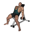 Zottman Curl - Incline Dumbbell